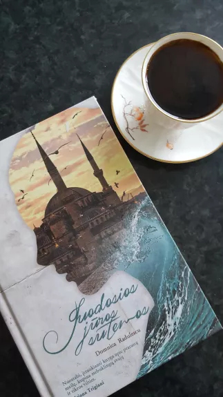 Juodosios jūros sutemos - Domnica Radulescu, knyga