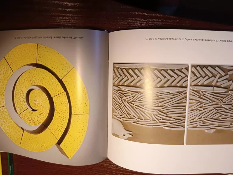 Keramika nuo ... iki ... - Gražina Degutytė-Švažienė, knyga 1