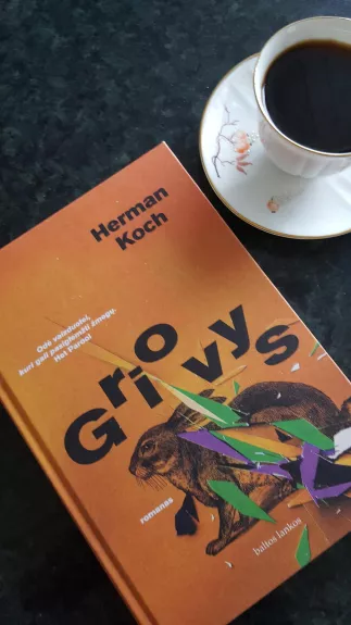 Griovys - Herman Koch, knyga