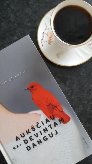 Aukščiau nei devintam danguj