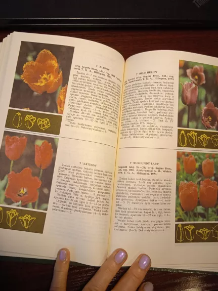 Tulpės - A. Baliūnienė, ir kiti , knyga 1