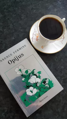 Opijus - Maxence Fermine, knyga