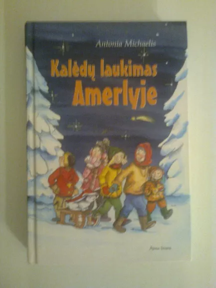 Kalėdų laukimas Amerlyje - Antonia Michaelis, knyga