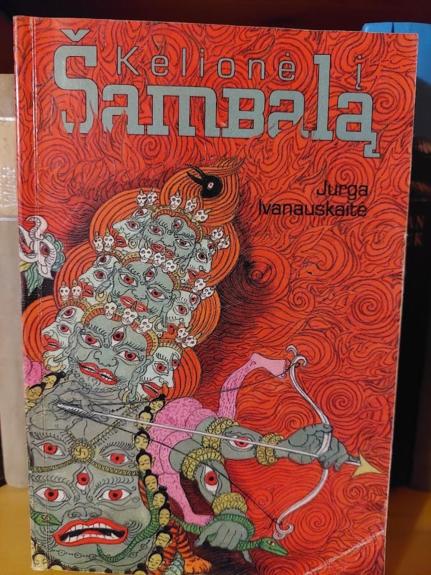 Kelionė į Šambalą - Jurga Ivanauskaitė, knyga
