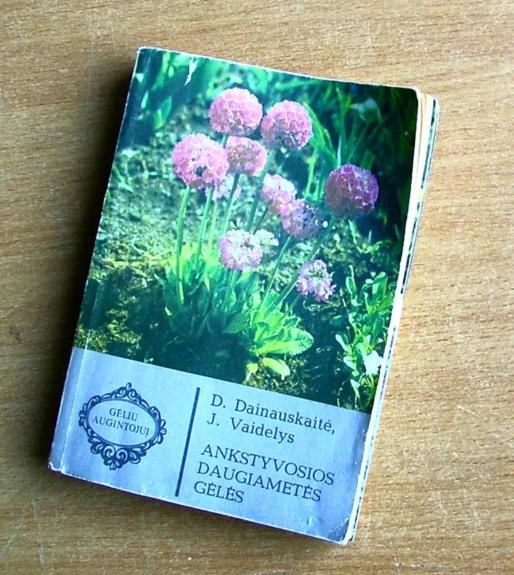 Ankstyvosios daugiametės gėlės