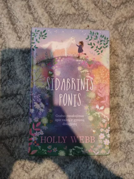 Sidabrinis ponis - Holly Webb, knyga