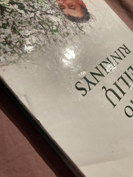 Šimto eilių rinkinys