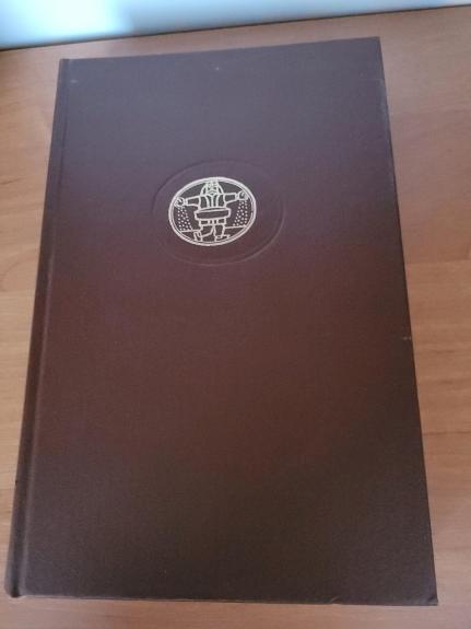 Džozefo Endriuso ir jo draugo pono Abrahamo Adamso nuotykių istorija - Henris Fildingas, knyga