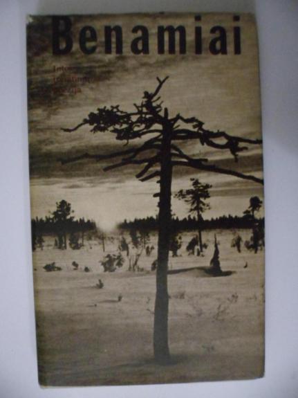 Benamiai