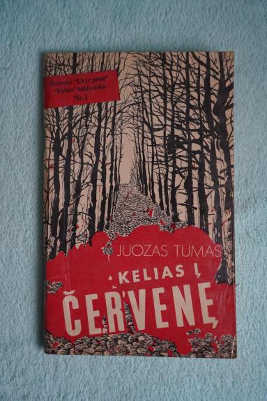 Kelias į Červenę
