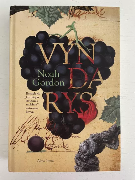 Vyndarys - Gordon Noah, knyga