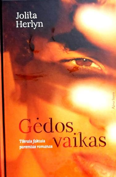 Gėdos vaikas - Herlyn Jolita, knyga