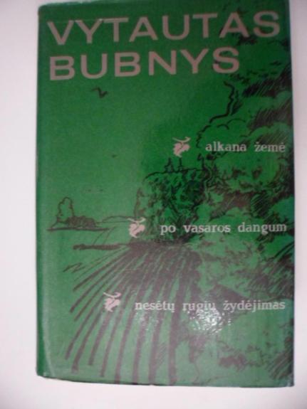Alkana žemė. Po vasaros dangum. Nesėtų rugių žydėjimas