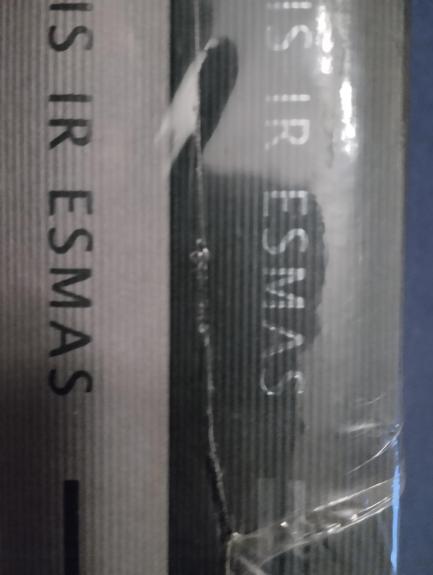 Šliogeris niekis ir esmas 2017