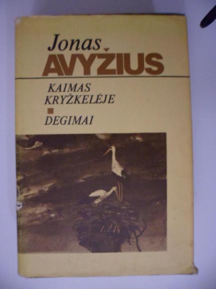 Kaimas kryžkelėje. Degimai