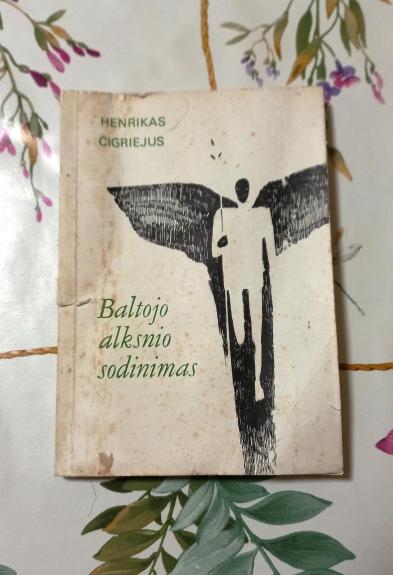 Baltojo alksnio sodinimas