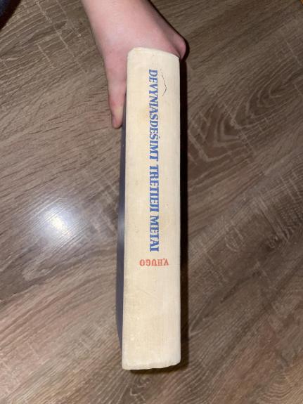 Devyniasdešimt tretieji metai