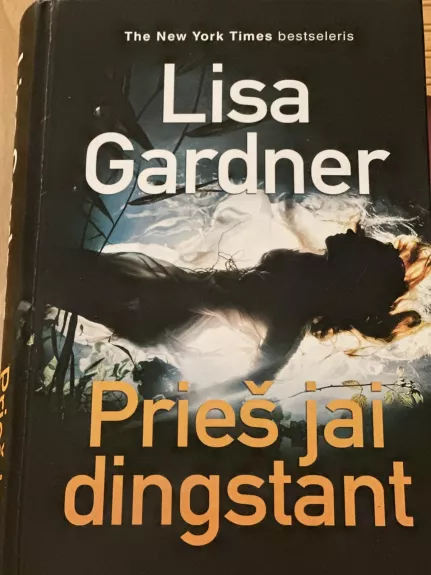 Prieš jai dingstant - Lisa Gardner, knyga