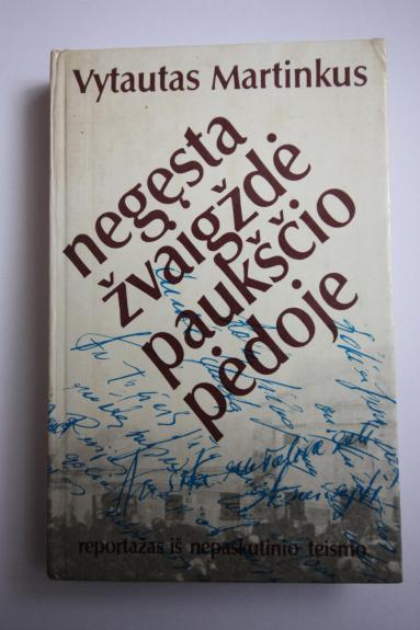 Negęsta žvaigždė paukščio pėdoje