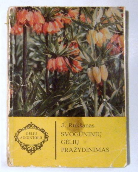 Svogūninių gėlių pražydinimas