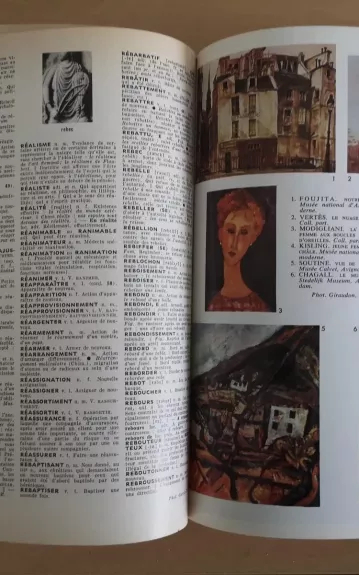 Dictionnaire encyclopédique pour tous. Nouveau petit Larousse - Autorių Kolektyvas, knyga 1