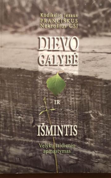 Dievo galybė ir išmintis : Velykų tridienio apmąstymas - Pranciškus Nekrošius CSJ, knyga 1