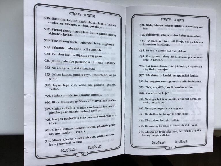 Margi paukšteliai pasauly skraido - Stasys Lipskis, knyga 1