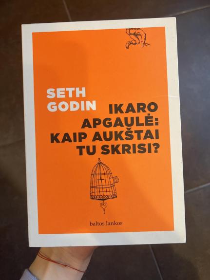 Ikaro apgaulė: kaip aukštai tu skrisi? - Seth Godin, knyga