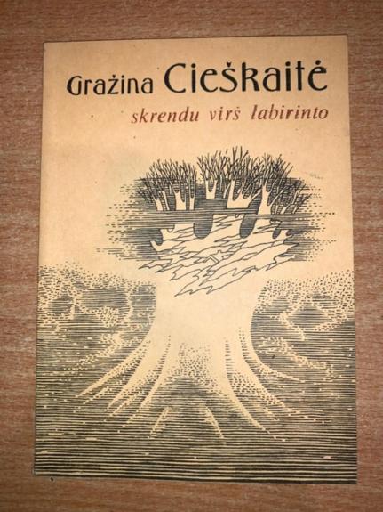 Skrendu virš labirinto