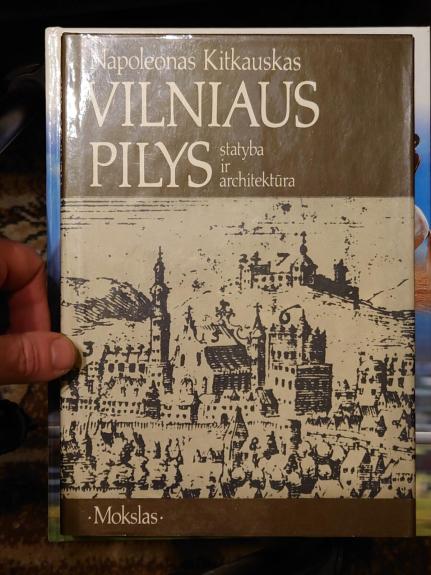 Vilniaus pilys