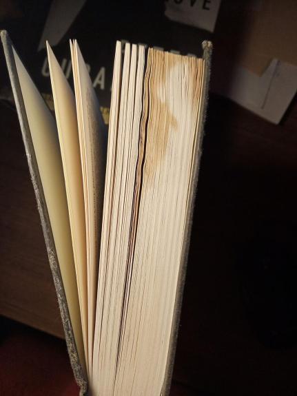 Child Bride: The Untold Story of Priscilla Beaulieu Presley - Suzanne Finstad, knyga 1