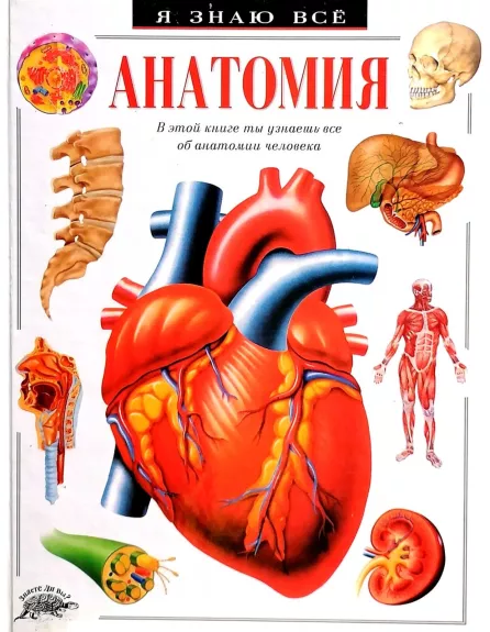 Анатомия - Паркер С., knyga