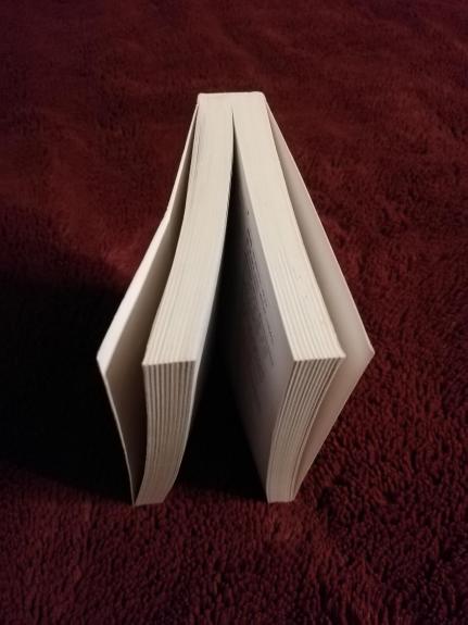 Norvegų-lietuvių ir lietuvių-norvegų kalbų žodynas - Ugnius Mikučionis, knyga 1