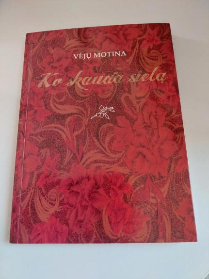 Ko skauda sielą - Vėjų Motina, knyga 1