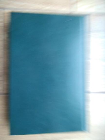 Angelo sargo skrydis: Lietuvos policijos kronika III dalis 1993-1996