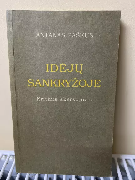 Idėjų sankryžoje: Kritinis skerspjūvis - Antanas Paškus, knyga