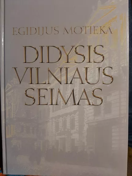 Didysis Vilniaus Seimas - Egidijus Motieka, knyga