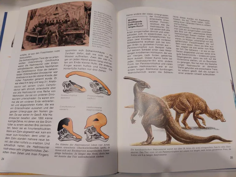 Dinosaurier - Autorių Kolektyvas, knyga 1