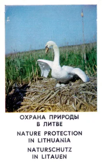 Охрана природы в Литве – Nature Protection in Lithuania – Naturschutz in Litauen - K. Balevičius, knyga 1