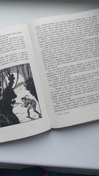 Vokiečių pasakos - Liudvigas Bechšteinas, knyga 1