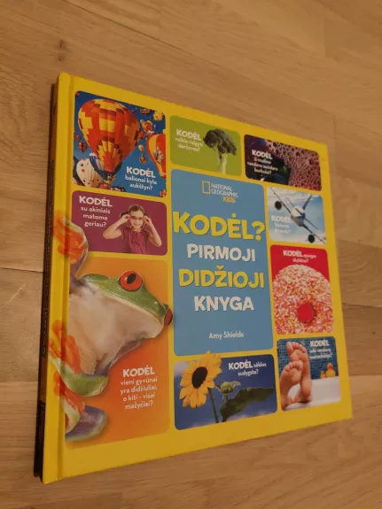 Kodėl? Pirmoji didžioji knyga