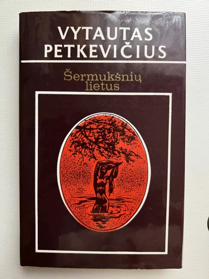 Šermukšnių lietus - Vytautas Petkevičius, knyga