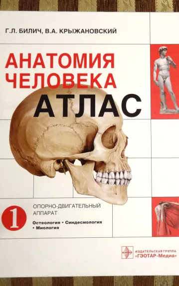 Žmogaus anatomija, 1 tomas, Osteologija, sindesmologija, myologija - Габриэль Билич, knyga 1