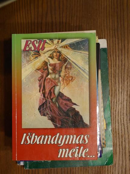 Išbandymas meile... (2 dalis): Labirintas