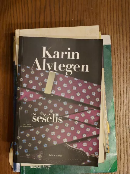 Šešėlis - Karin Alvtegen, knyga