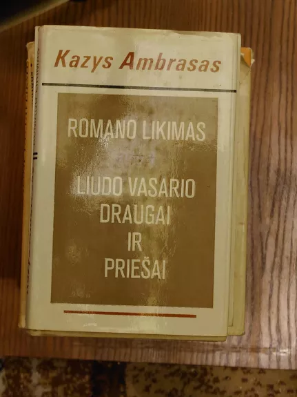 Romano likimas arba Liudo Vasario draugai ir priešai - Kazys Ambrasas, knyga