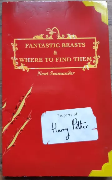 Fantastic Beasts and Where to Find  Them