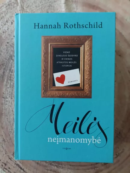 Meilės neįmanomybė - Hannah Rothschild, knyga