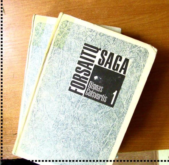 Forsaitų saga (II tomai)