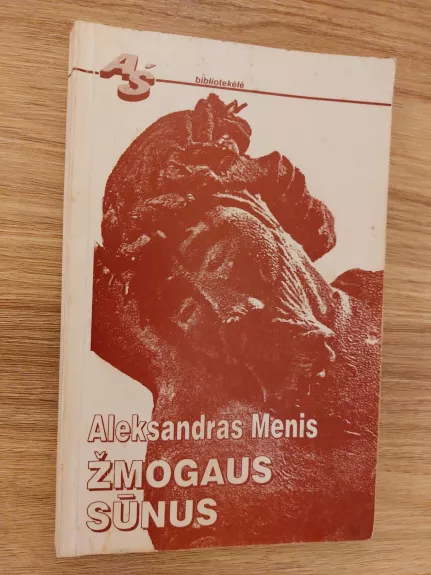 Žmogaus sūnus